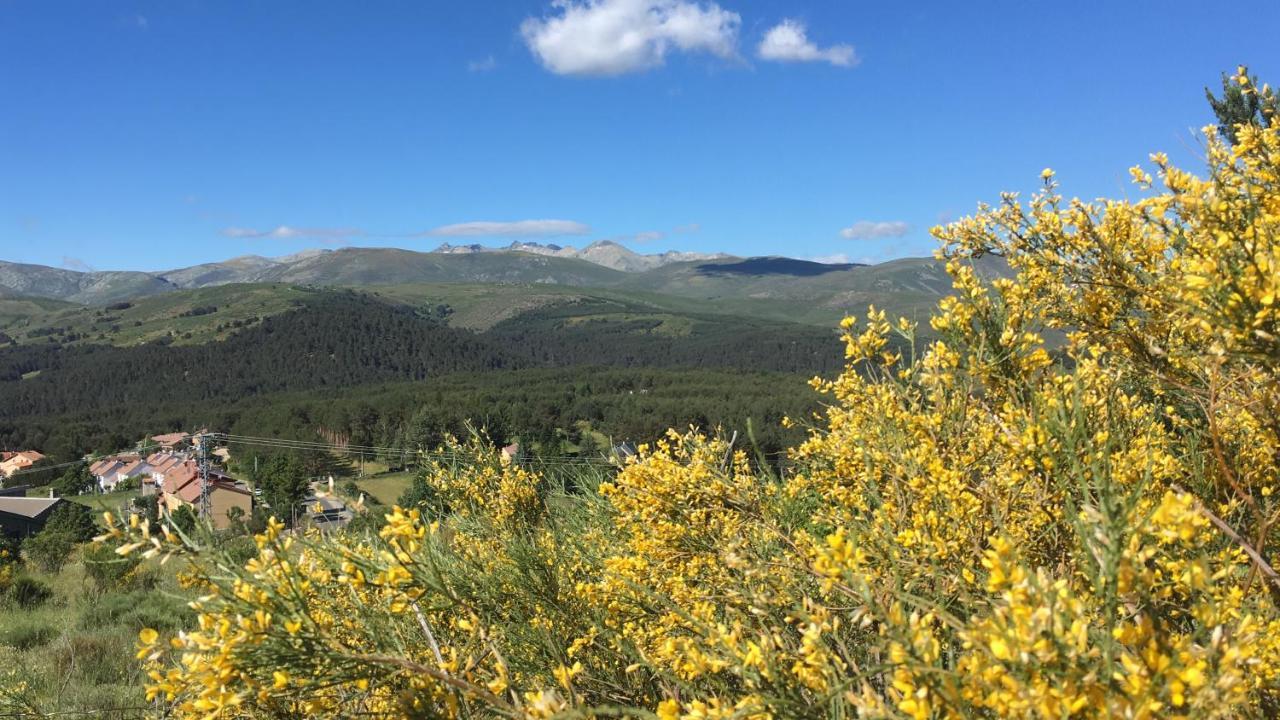 Cara Norte De Gredos Hoyos del Espino Luaran gambar