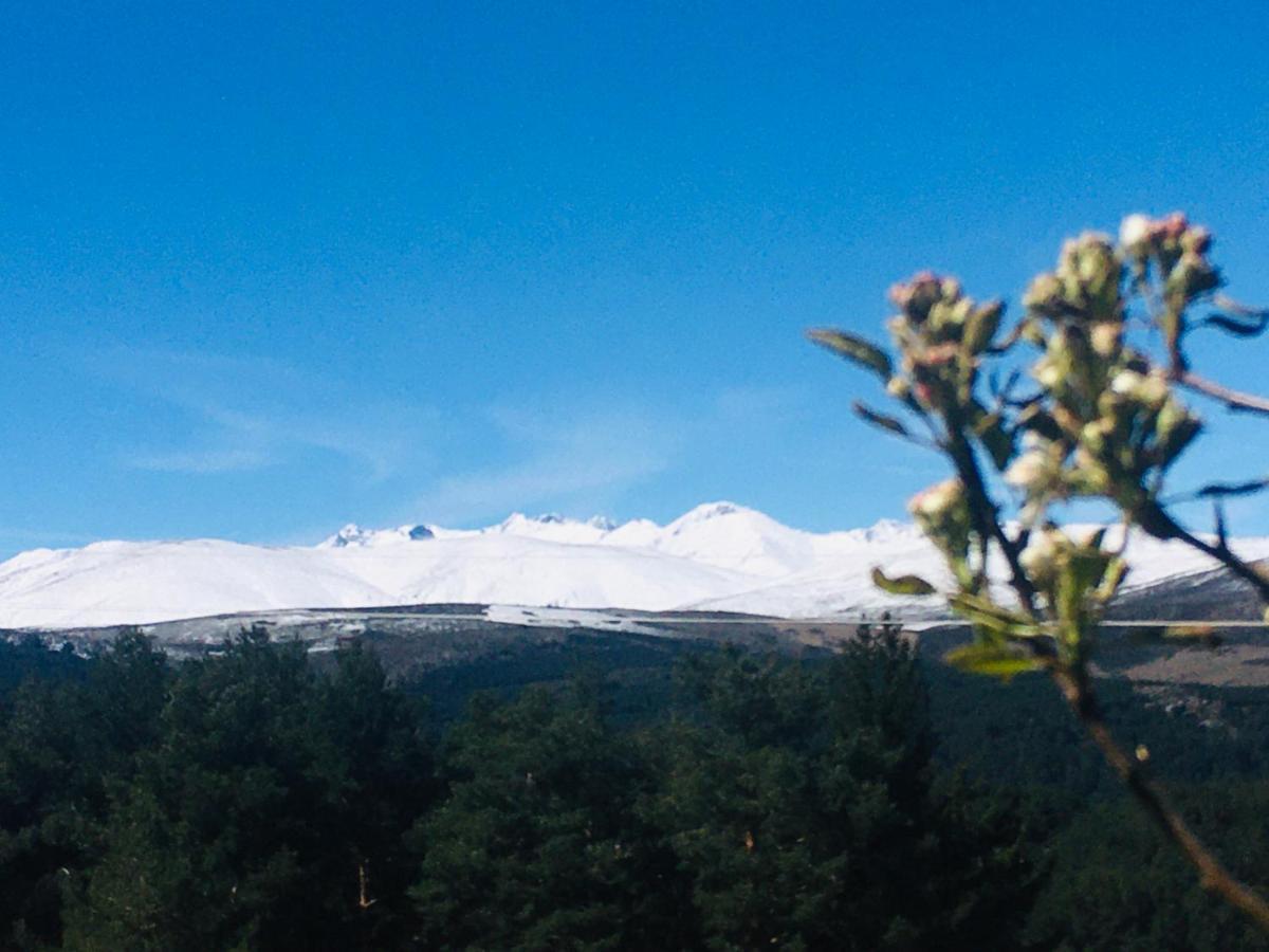 Cara Norte De Gredos Hoyos del Espino Luaran gambar